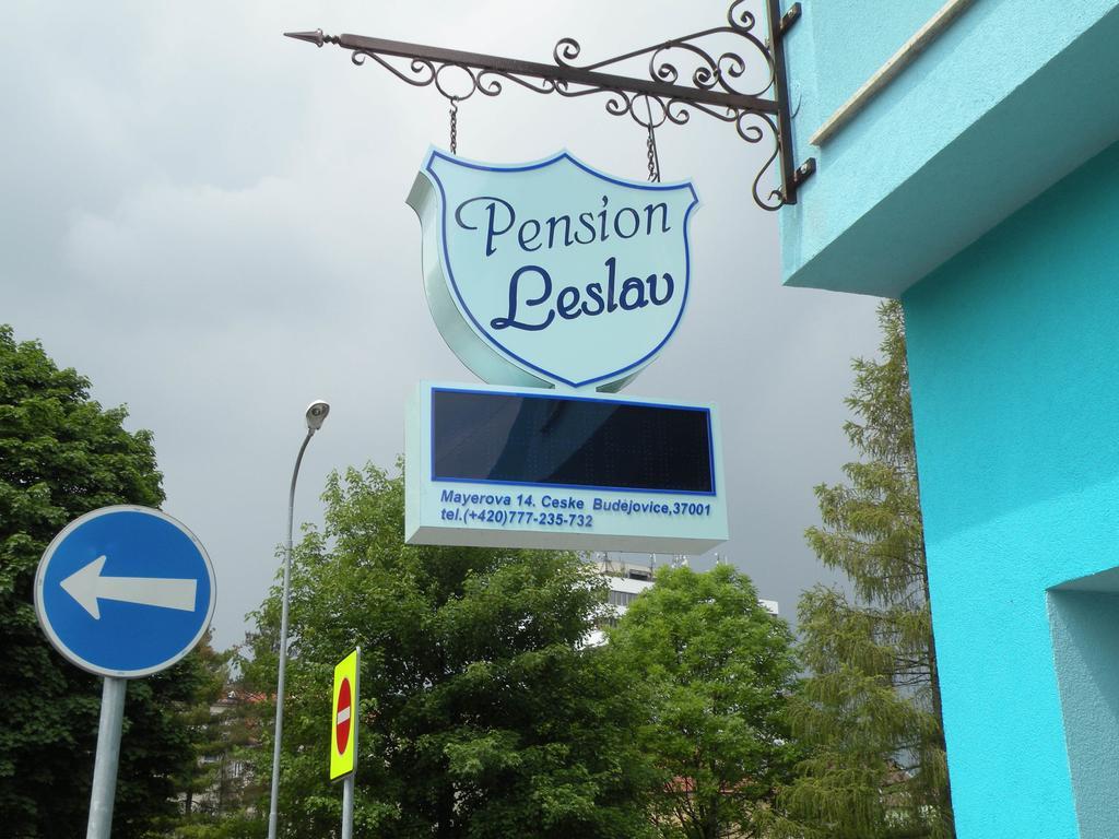 Penzion- Leslav تشيسكي بوديوفيتسه المظهر الخارجي الصورة