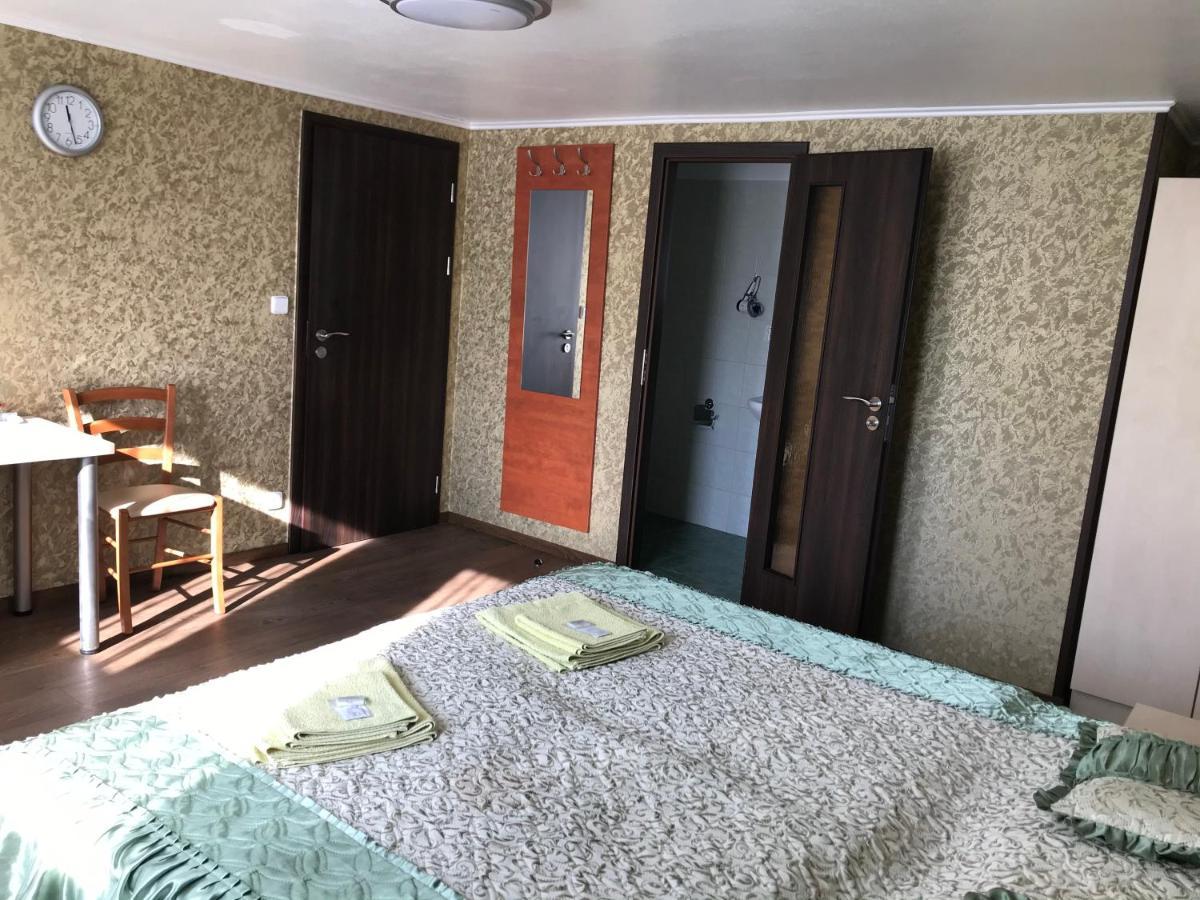 Penzion- Leslav تشيسكي بوديوفيتسه المظهر الخارجي الصورة